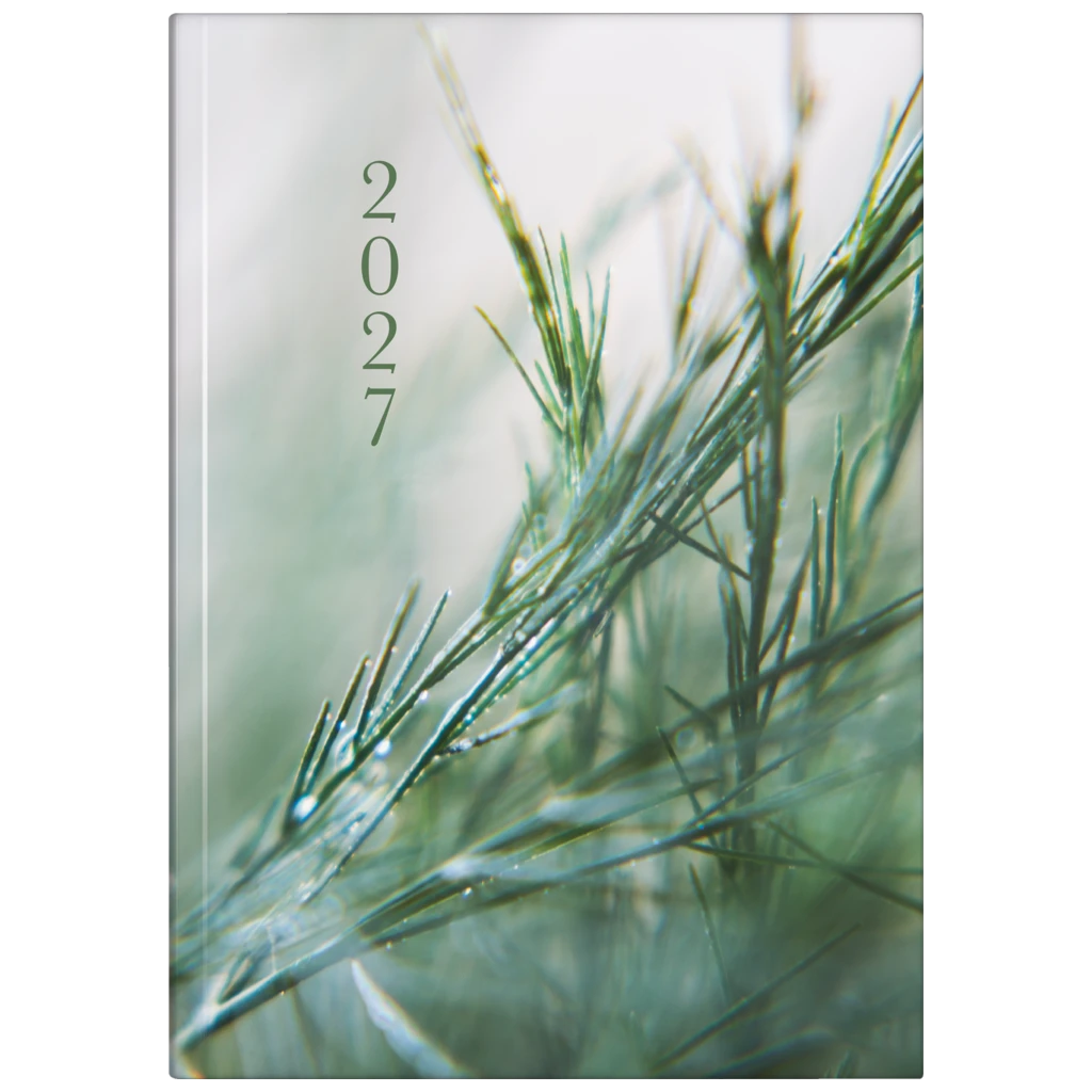 Buchkalender Premium Young Line 2027 „Greeny“ | A5, Papier