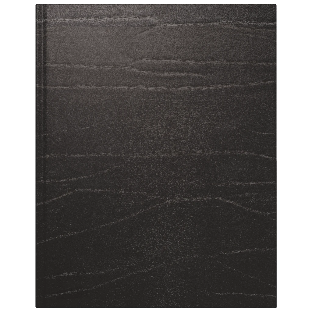 Buchkalender Premium Mod. Managerkalender TM 2027 | 20,5×26 cm, Leder, schwarz