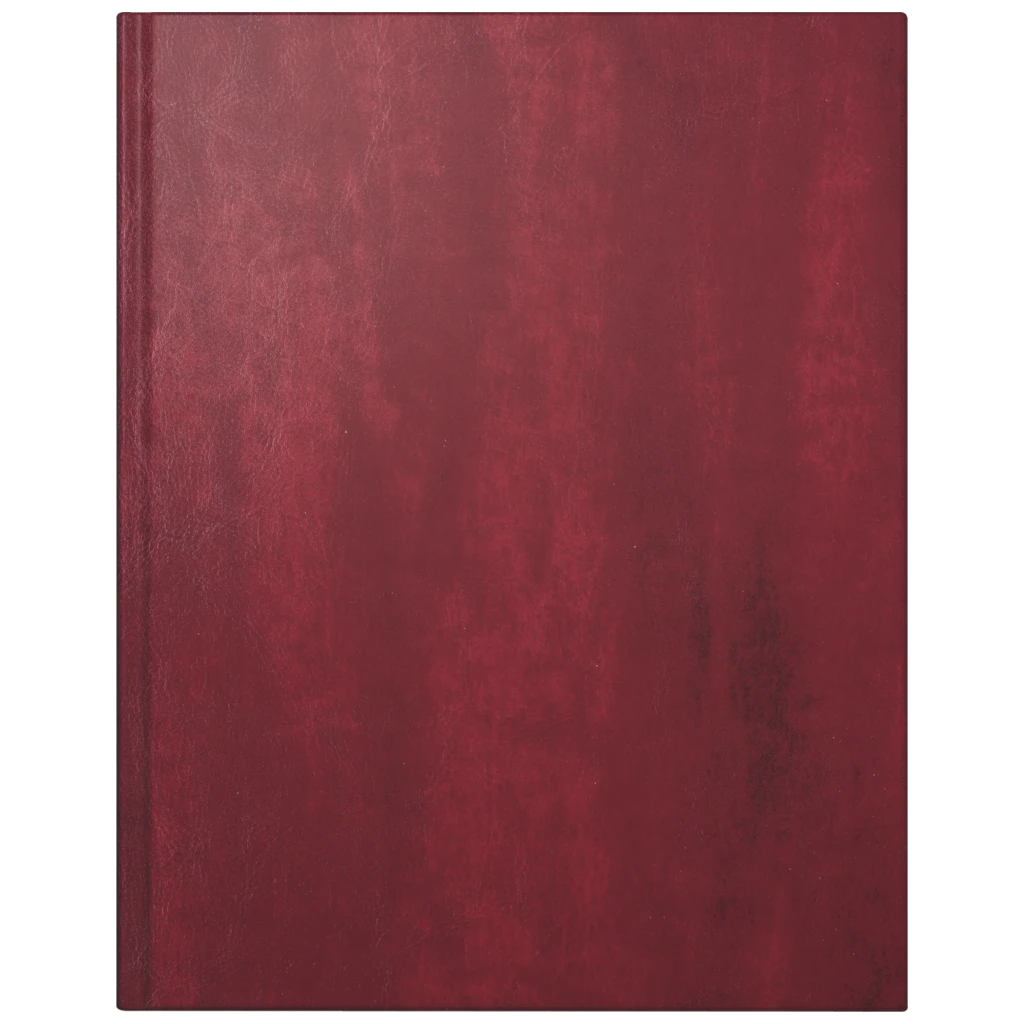 Buchkalender Premium Mod. Managerkalender TM 2027 | 20,5×26 cm, Kunstleder, rotbraun