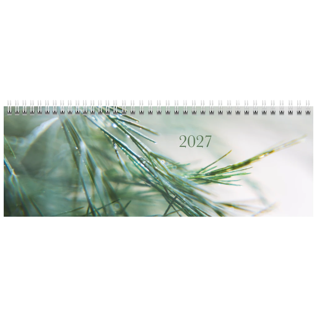 Querterminbuch Premium Young Line 2027 „Greeny“ | 29,7×10,5 cm, Papier