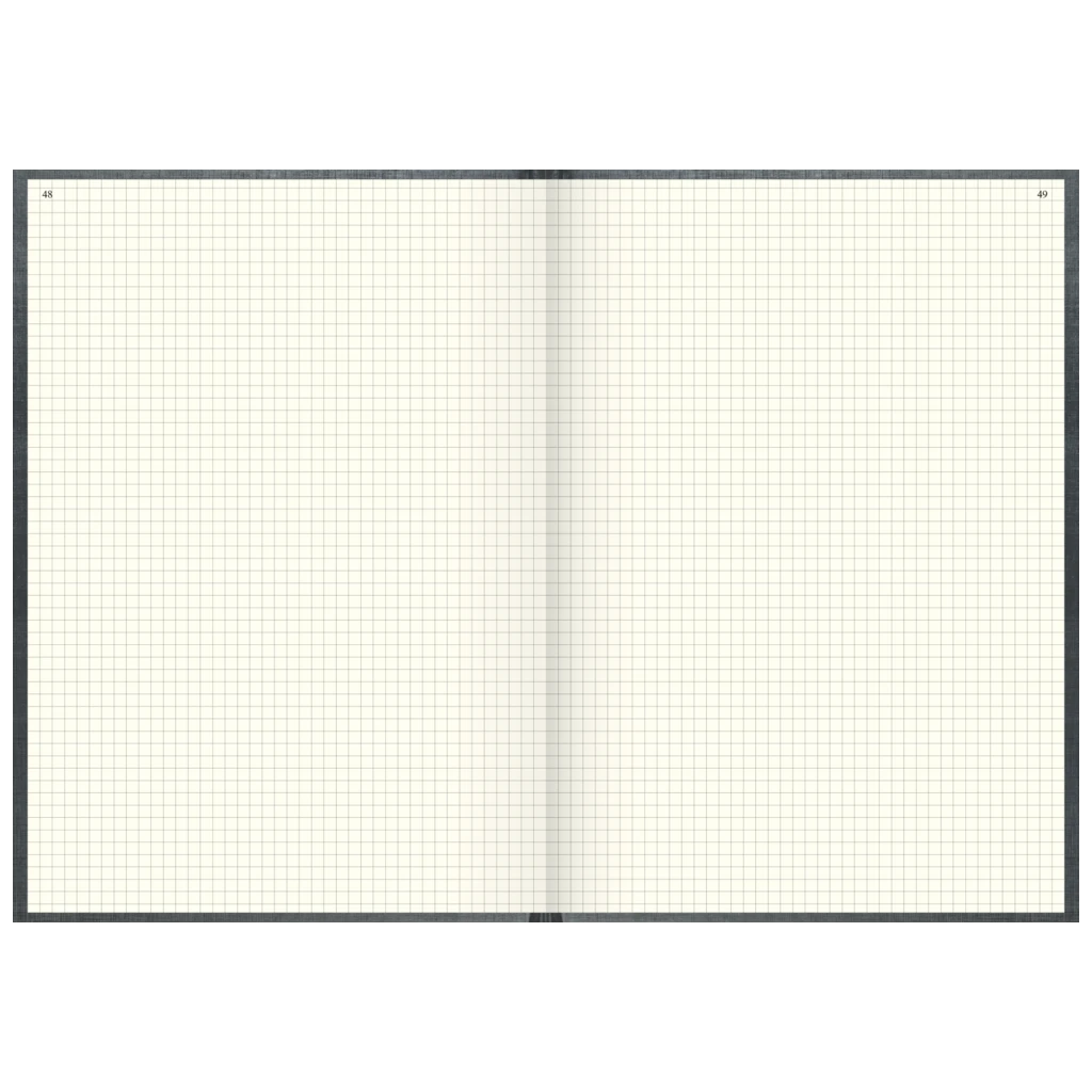 Geschäftsbuch | A4, 384 Seiten, mit Seitenzahlen, kariert, Kunststoff, grau