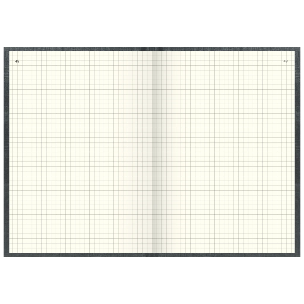 Geschäftsbuch | A5, 192 Seiten, mit Seitenzahlen, kariert, Kunststoff, grau