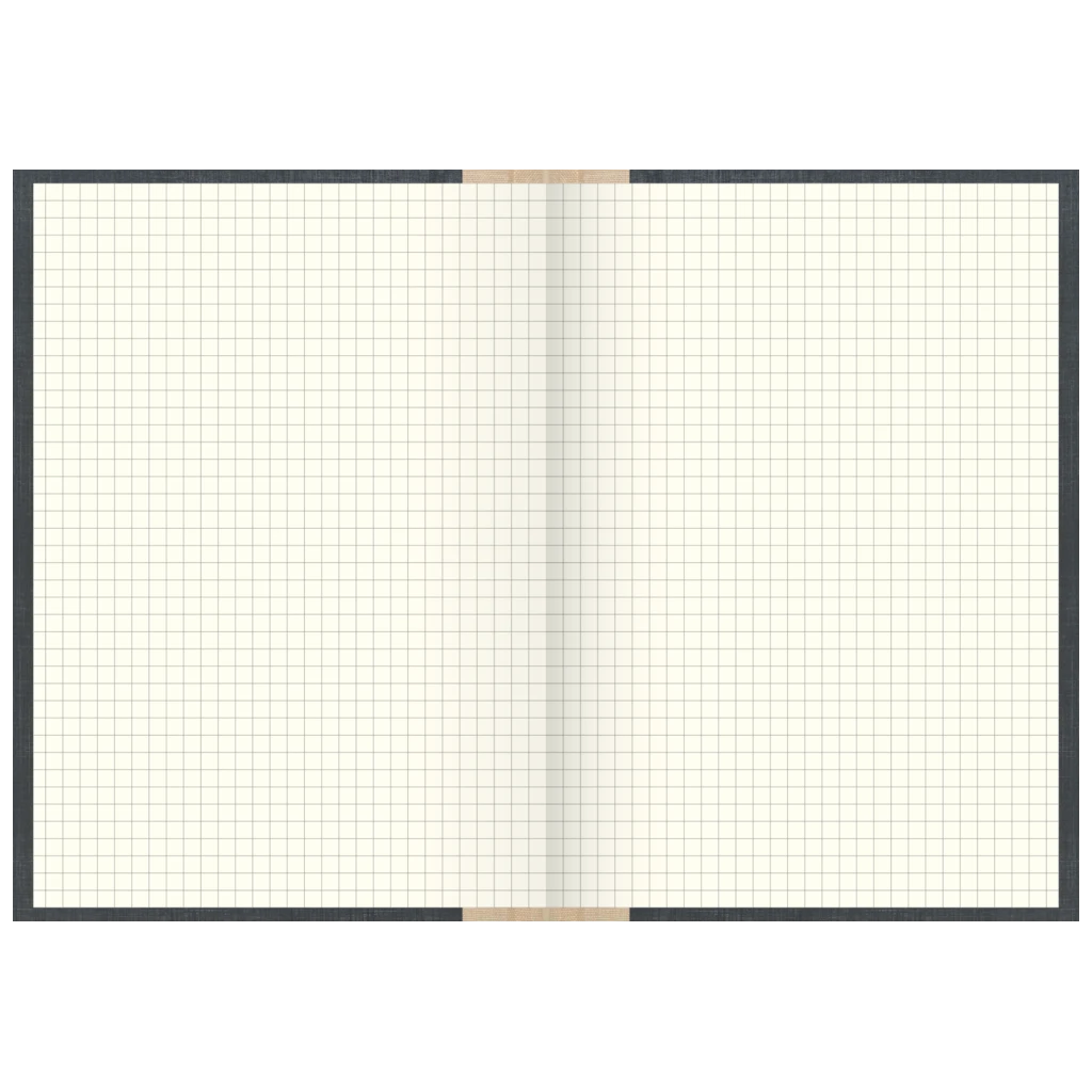 Geschäftsbuch | A5, 384 Seiten, kariert, Kunststoff, grau
