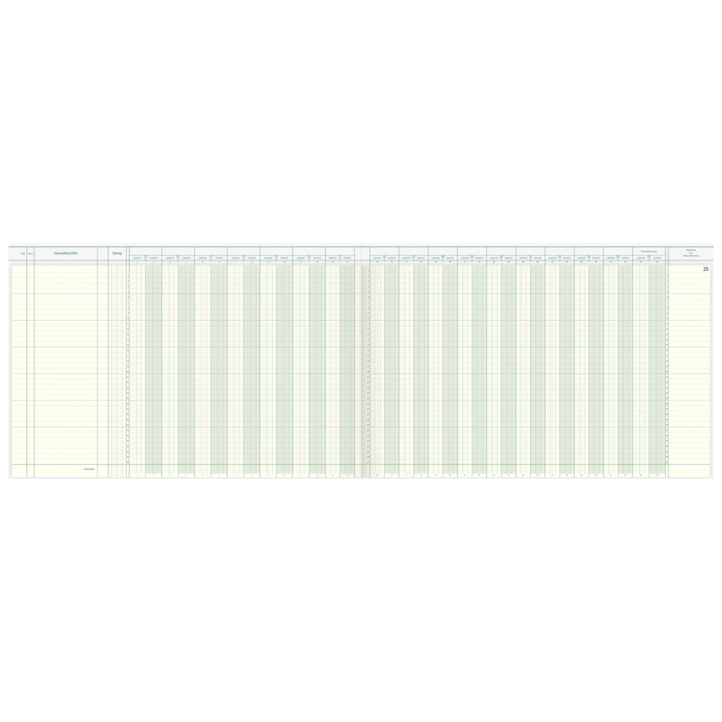 Amerikanisches Journal | 490×297 mm, 96 Seiten, Konten-Journal, Karton, magenta/hellblau