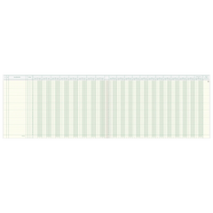 Amerikanisches Journal | 530×297 mm, 96 Seiten, Konten-Journal, Karton, magenta/hellblau