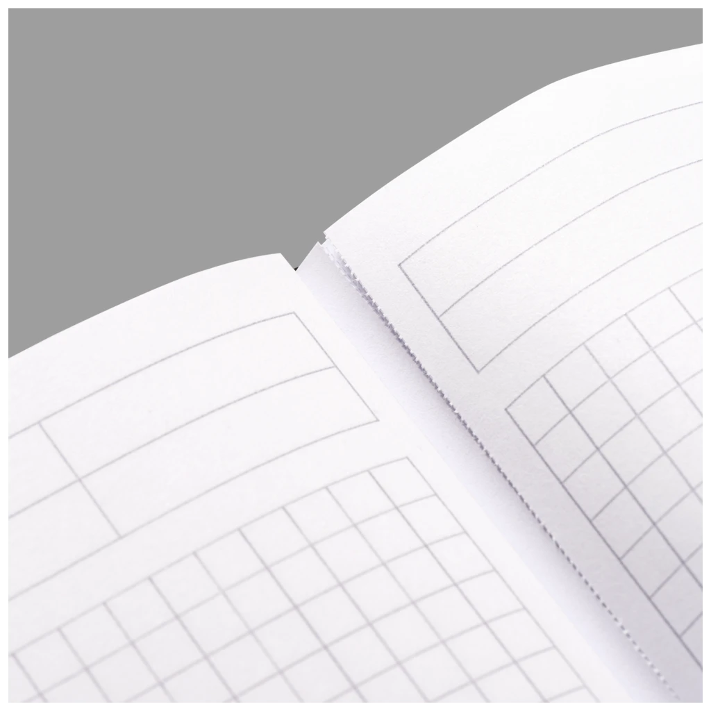 Protokollbuch | A5, kariert, schwarz